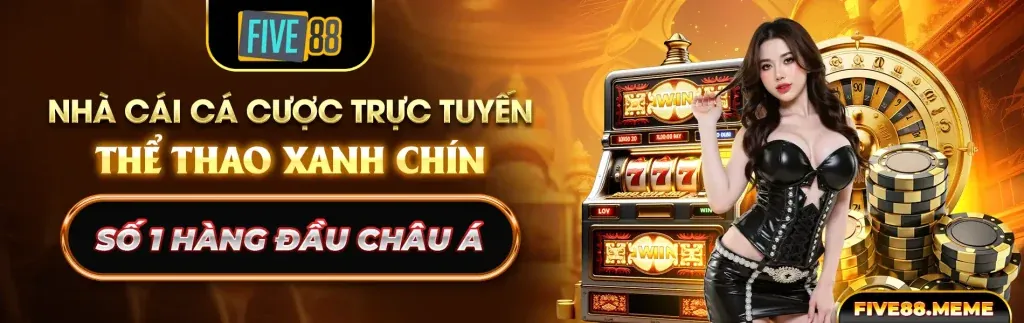 Điều Khoản và Điều Kiện
